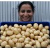 NEW SEASONS WASHED WHITE WAXY  Small Size Nadine Potatoes 1.5 KG Bag Pukekohe Grown